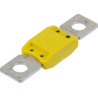 5 FUSIBLES ENFICHABLES MEGA SERIE 60 32V/100A JAUNE - D.8MM