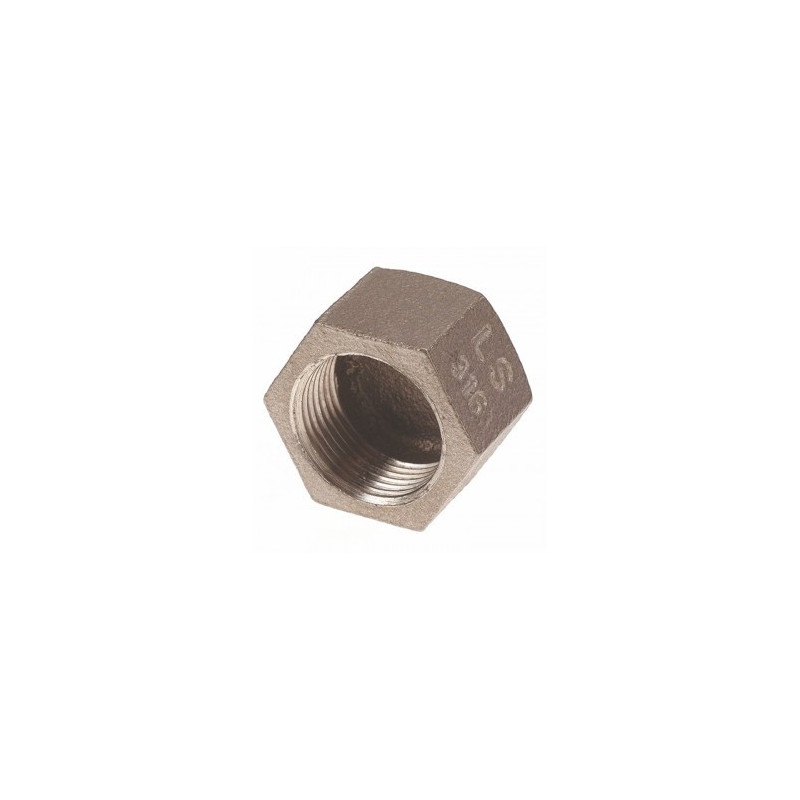 Bouchon femelle hexagonal 2 pouces inox 316 ADG_ref 2300I-50