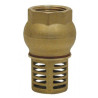 Clapet anti-retour à crépine laiton 3/4" ADG_ref 510-20