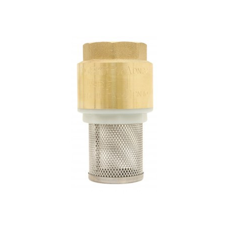 Clapet anti-retour York laiton 1" avec crépine inox ADG_ref 530-26