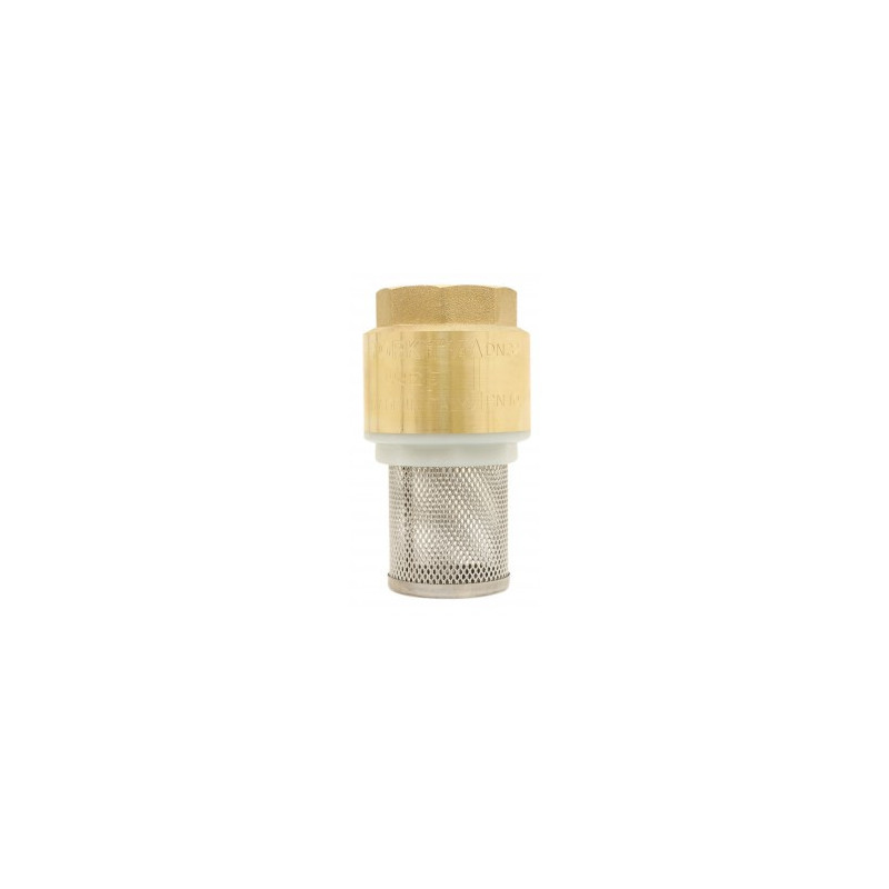Clapet anti-retour York laiton 3" avec crépine inox ADG_ref 530-80