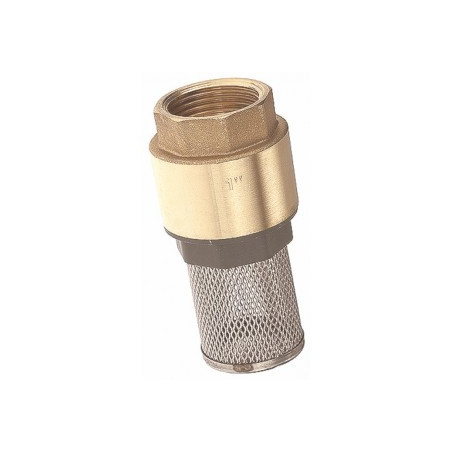 Clapet anti-retour à crépine inox et laiton 1"1/2 ADG_ref 533-40