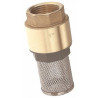Clapet anti-retour à crépine inox et laiton 1"1/2 ADG_ref 533-40