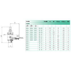 Régulateur de débit Airfit laiton 8-1/8 filetage BSP_ref 0615+08+10-1