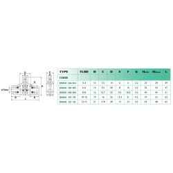 Régulateur de débit Airfit en ligne 6-6 en polymère_ref 0660+06+06-1
