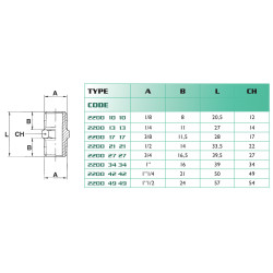 Mamelon mâle/mâle conique 1" BSP en laiton Airfit_ref 2200+34+34-1