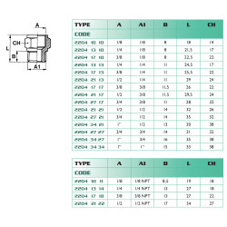 Réduction femelle/mâle 1/4-1/4 BSP Airfit en laiton nickelé_ref 2204+13+13-1