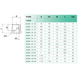 Réduction mâle/femelle conique 3/4-1/4 BSP Airfit en laiton_ref 2208+27+13-1