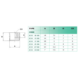 Bouchon mâle conique 3/4 BSP Airfit en laiton nickelé 6 pans creux_ref 2311+27+00-1