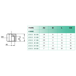Bouchon femelle 1/8 BSP Airfit en laiton nickelé_ref 2313+10+00-1
