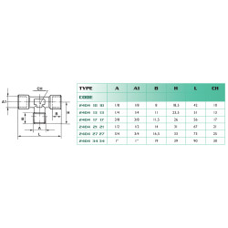 Raccord en T Airfit 3/8 BSP femelle avec piquage central mâle_ref 2404+17+17-1