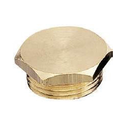 Bouchon laiton mâle fileté 1/4" Anquier_ref D1918