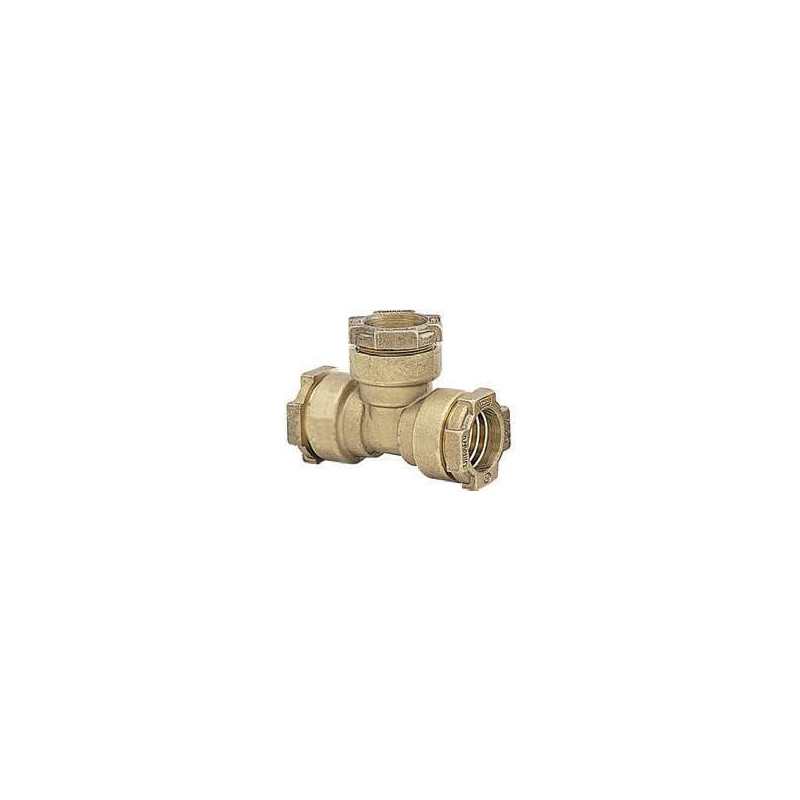 Raccord Té Ø25 mm pour tuyau polyéthylène Anquier_ref R8525