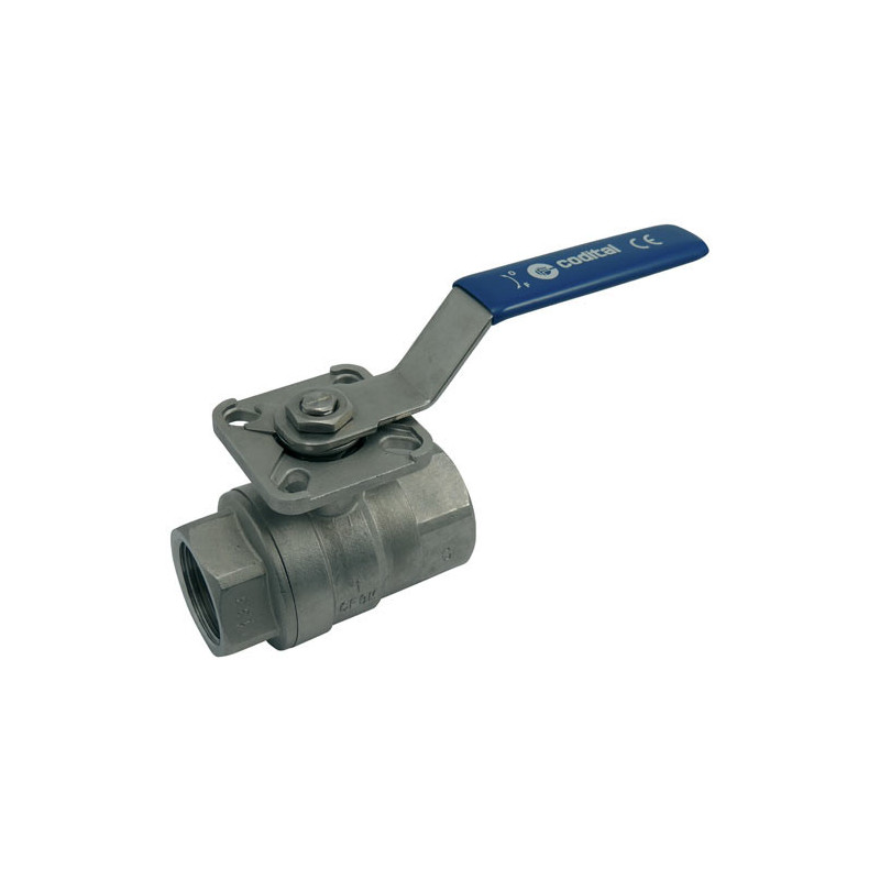 Vanne à boisseau sphèrique 2 voies 3/4" Femelle/Femelle inox 316 Codital_ref 496