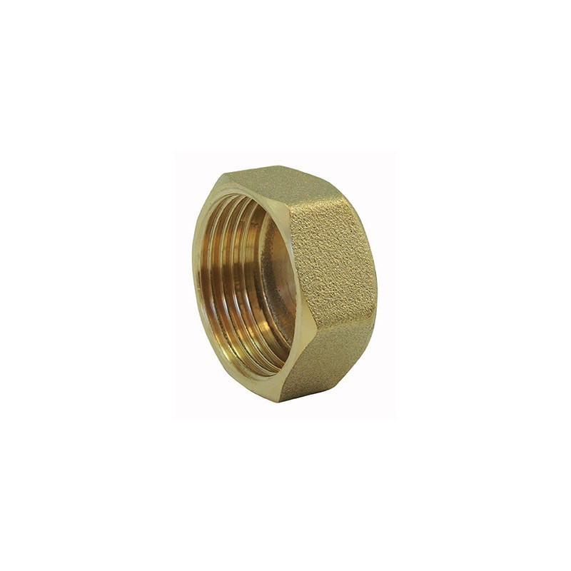 Bouchon femelle 3/4" laiton Codital à tête hexagonale_ref 1300