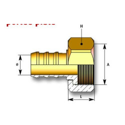 Raccord femelle écrou tournant laiton 3/4" pour tuyau Ø20mm IFT_ref P204-1