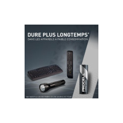 PILE ALCALINE PROCELL CONSTANT AA, 1,5 V