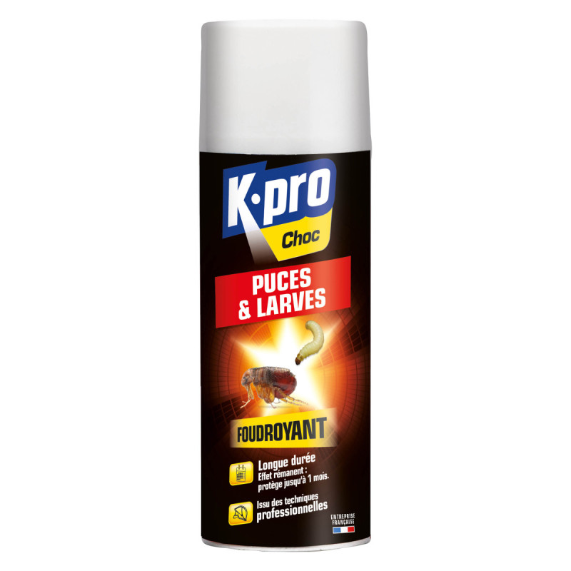 INSECTICIDE RAMPANTS - AEROSOL DE 750ML