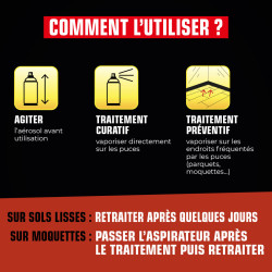 INSECTICIDE RAMPANTS - AEROSOL DE 750ML