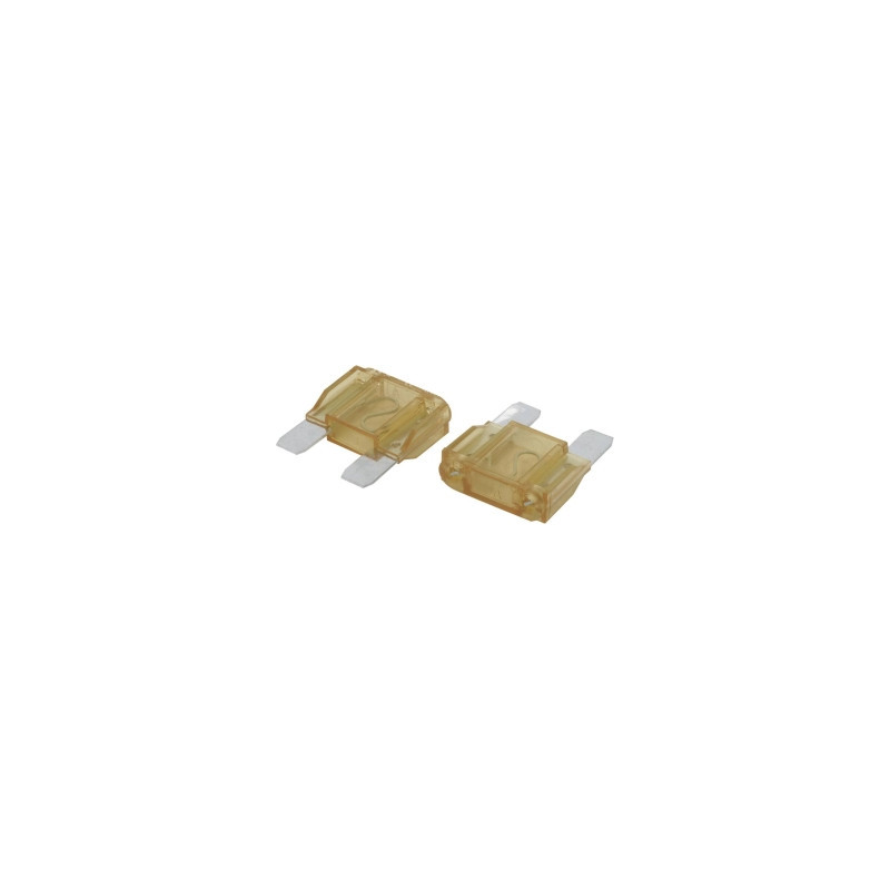 FUSIBLES ENFICHABLES MAXI 70A BEIGE - LOT DE 2 - EN BLISTER