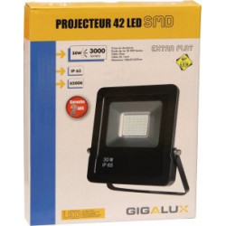 Projecteur LED extra plat 30W GIGALUX IP65 sans prise_ref SOD82412-1