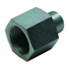 Réduction mâle/femelle Eurogeste acier protégé M12x1.5 - G 1/4"_ref 208EB032