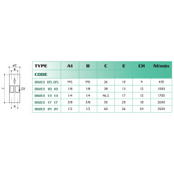 Clapet anti-retour femelle/femelle BSP 1/2 Airfit_ref 0683+21+21-1