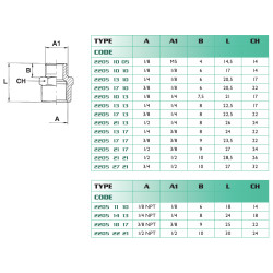 Réduction femelle/mâle BSP 3/4-1/2 Airfit en laiton nickelé_ref 2205+27+21-1