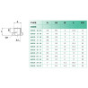 Réduction mâle/femelle 1/8-M5 BSP Airfit en laiton nickelé_ref 2209+10+05-1