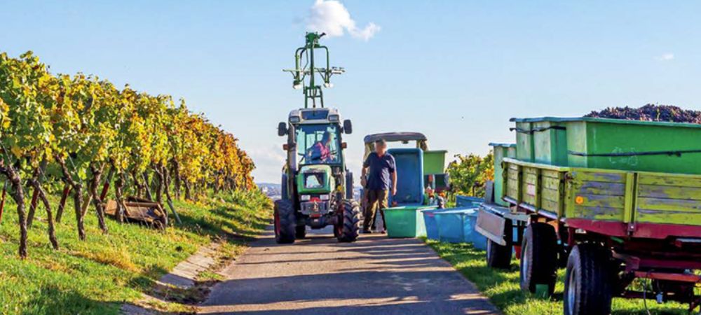 CEMO_Bacs de rétention