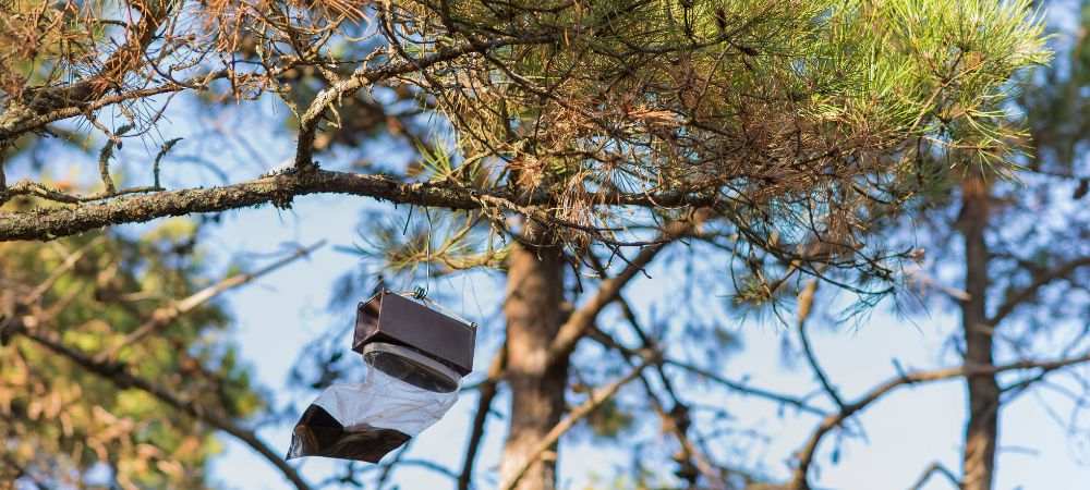 DECAM'P_Insecticides